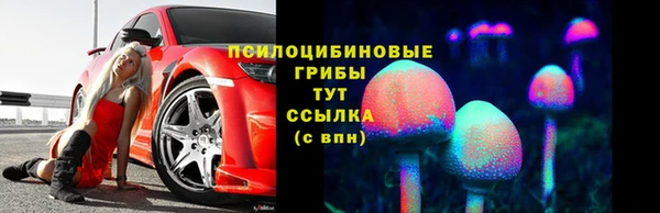 бошки Тайга