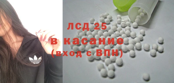 бошки Тайга