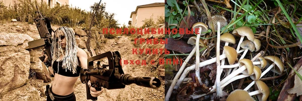 кристаллы Тавда