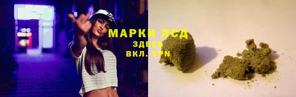 бошки Тайга