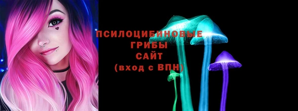 мет Сясьстрой