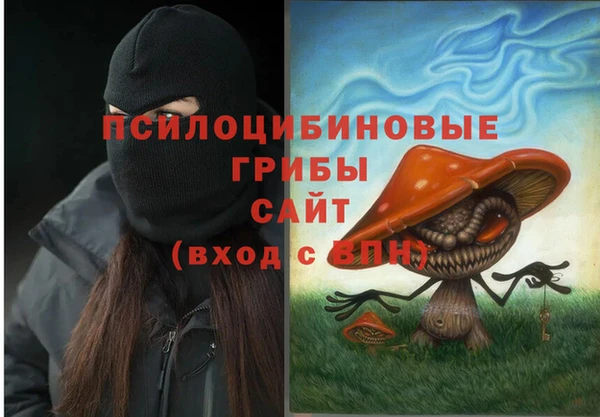 бошки Тайга
