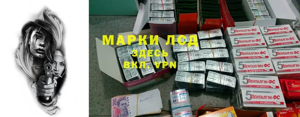 бошки Тайга
