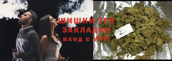 бошки Тайга