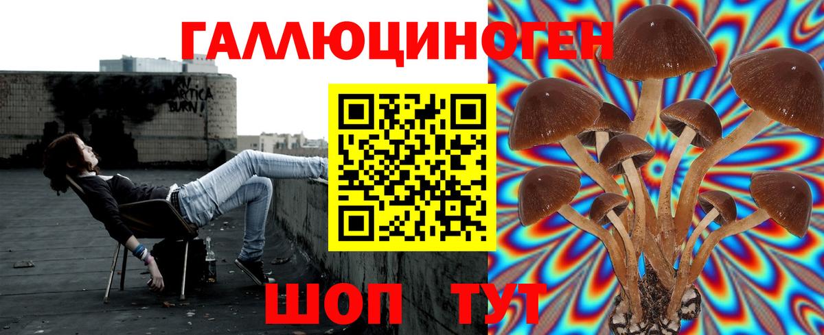 Псилоцибиновые грибы GOLDEN TEACHER  купить наркотики цена  Новосибирск  Вход с VPN 
