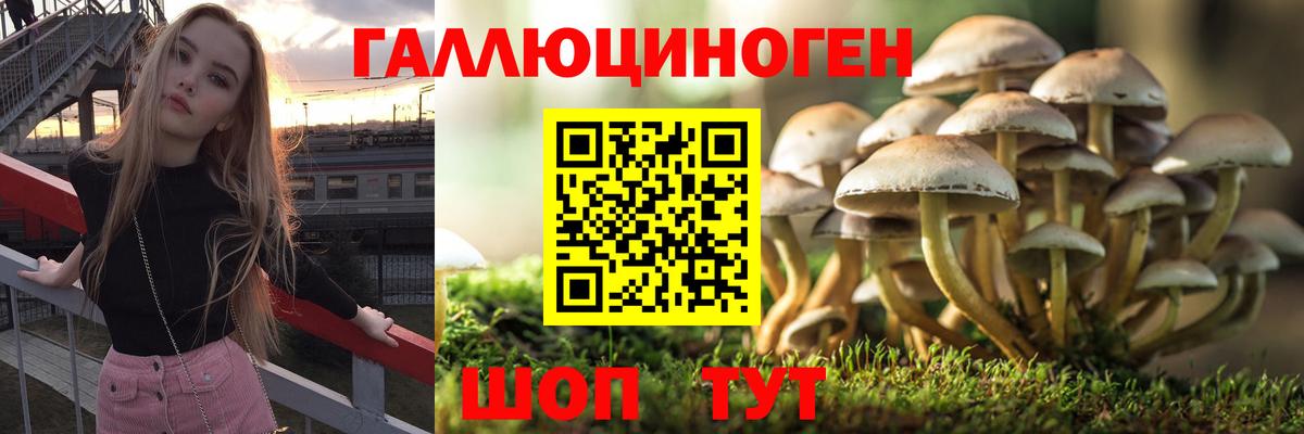Галлюциногенные грибы MAGIC MUSHROOMS Новосибирск