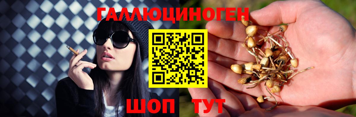 Галлюциногенные грибы MAGIC MUSHROOMS Новосибирск