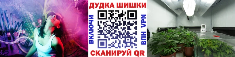 даркнет Telegram  Новосибирск  Канабис планчик 